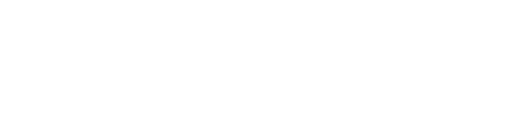 Paul and Steve. More Lawyer. Less Fee.