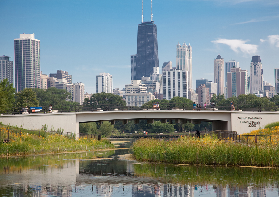 What Happens If I Get Injured at Lincoln Park Zoo in Chicago, IL?